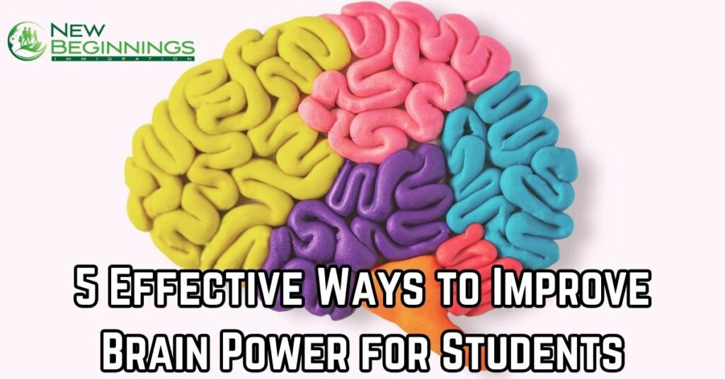 5 Effective Ways To Improve Brain Power For Students