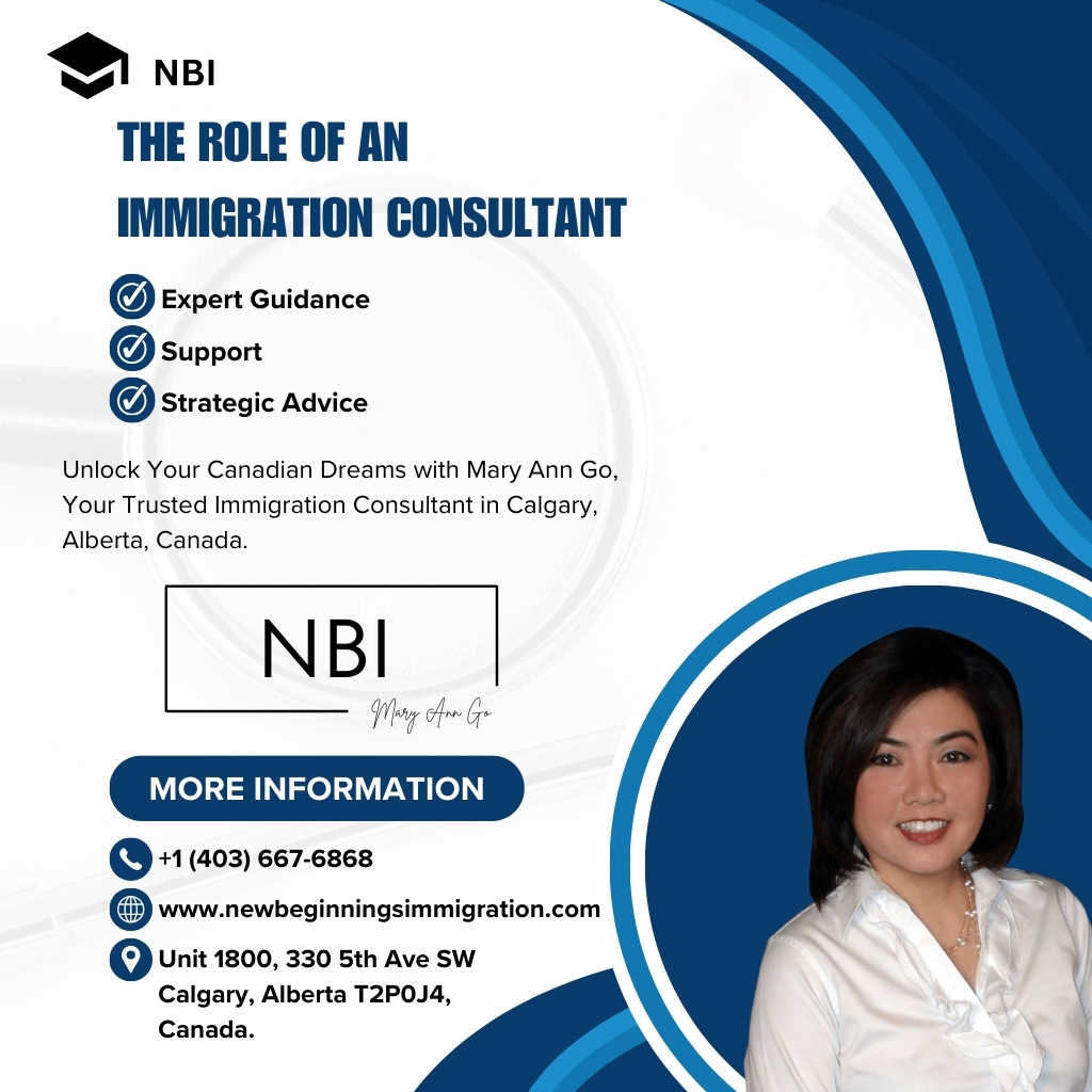 The Role of an Immigration Consultant